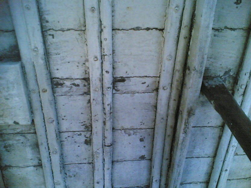 [Immagine: 201264225313_chiglia 06.jpg]